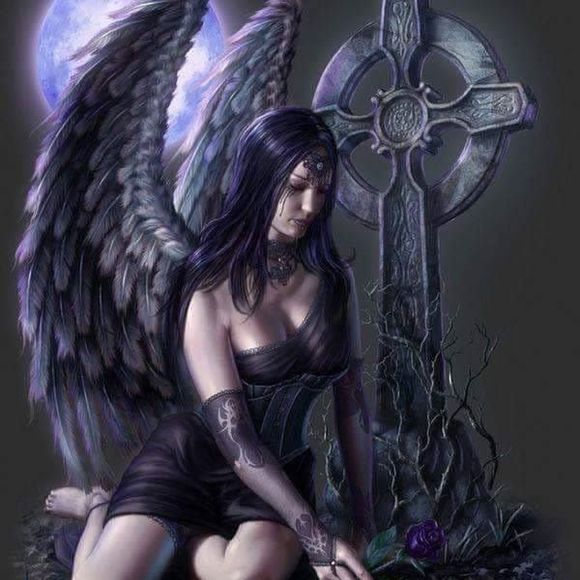 Meet your Posher, Gail - Picture 1 of 1